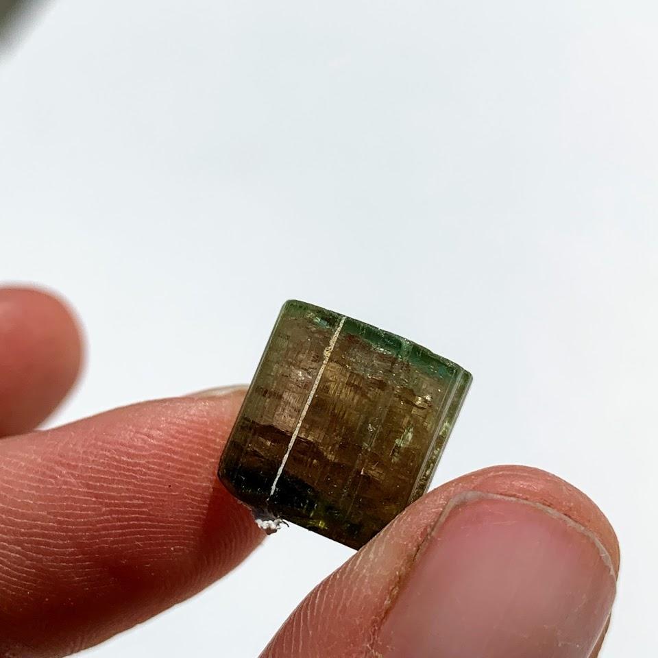 Rare Gemmy Watermelon Tourmaline Point From Brazil in Collectors Box #3 - Earth Family Crystals