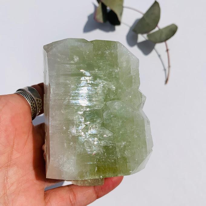 Deep Green Chunky Apophyllite With Pink Stilbite Inclusions From India - Earth Family Crystals