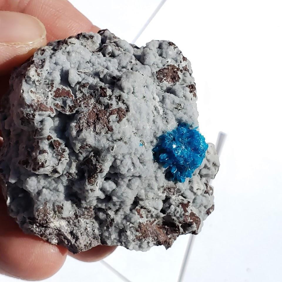 Electric Blue Natural Cavansite Crystal Nestled in Rock Matrix From India - Earth Family Crystals