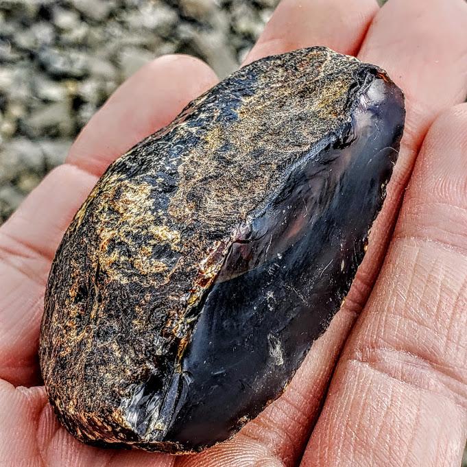 Rare Cognac & Blue Raw Amber Specimen From Indonesia #1 - Earth Family Crystals