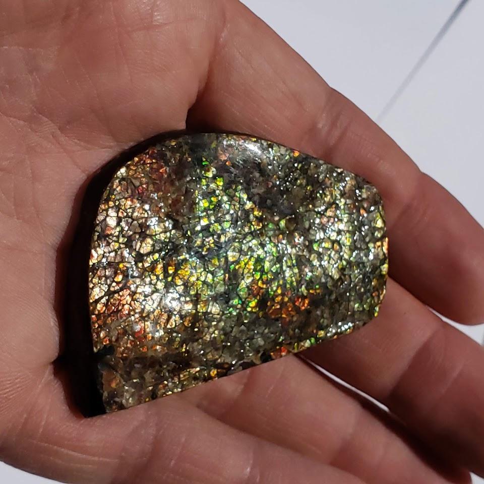 Chunky Alberta Ammolite Fossil Free Form Hand Held Specimen #6 - Earth Family Crystals